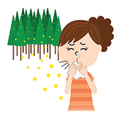before_allertek1_0.jpg