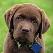 brown_photos_04.jpg