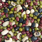 brown_photos_06.jpg