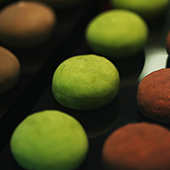 brown_photos_07.jpg
