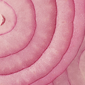 pink_ring_170x.jpg